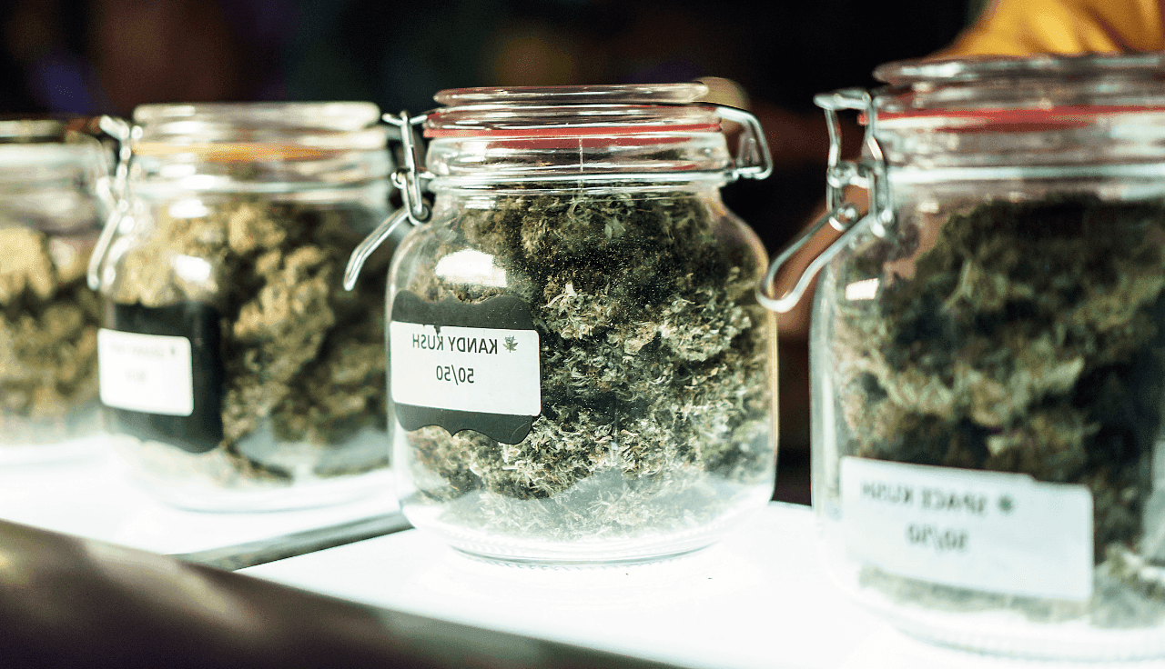 Cannabisblüten im Glas